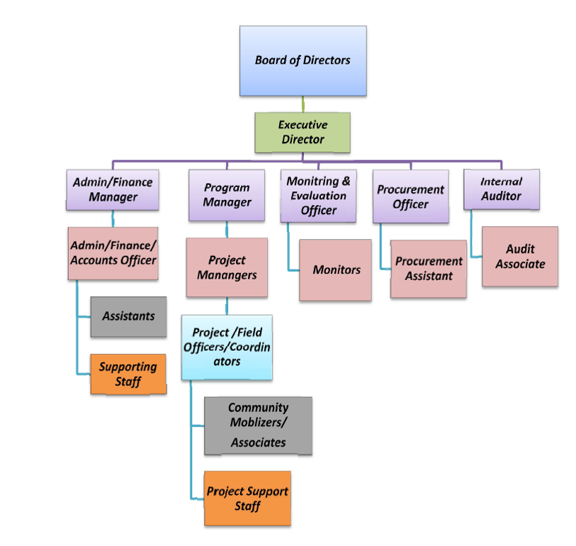 Organization structure